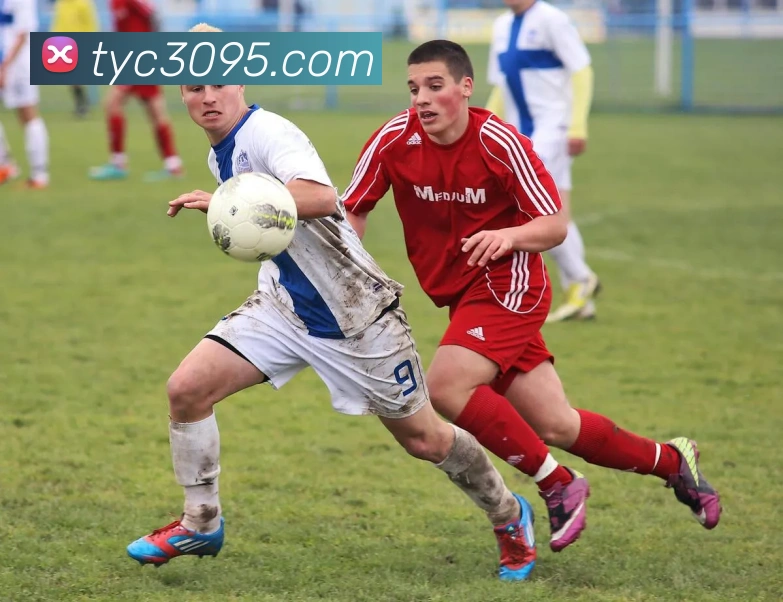 澳门太阳城品牌故事